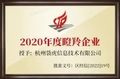 2020年度瞪羚企业
